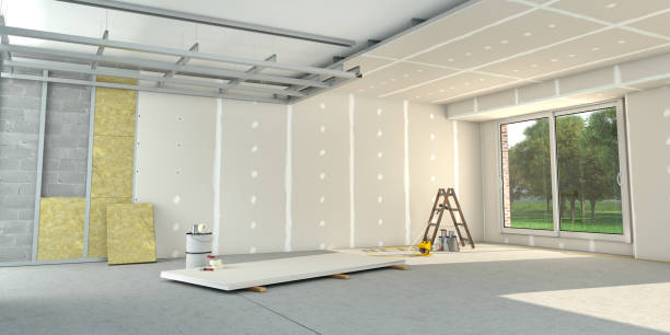 Best Wall Insulation Contractor  in South Congaree, SC