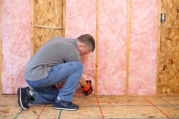 Best Affordable Insulation Services  in South Congaree, SC